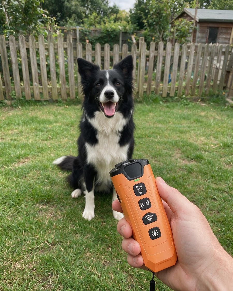 GentlePup™ QuietCue Ultrasonic Bark Trainer